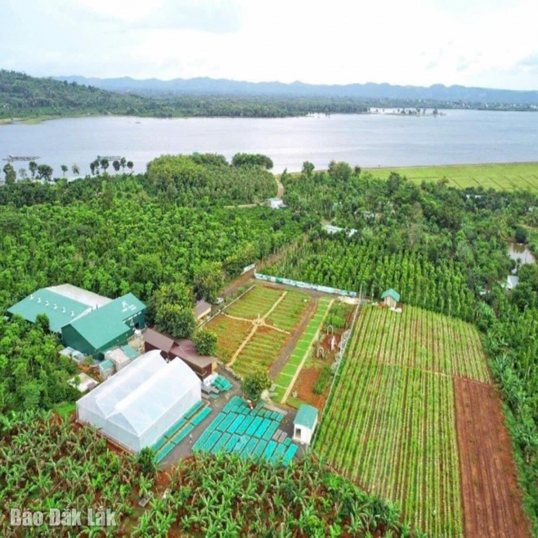 Aeroco Coffee: Sự kết tinh của chất lượng và giá trị bền vững